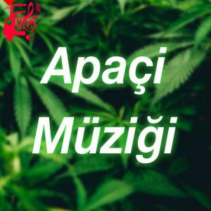 کاور آهنگ apaçi müziği از abdullah enhar engin + متن ترانه اثر abdullah enhar engin