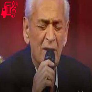 کاور آهنگ دولدور به میحانچی ریمیکس از عدنان شنسس + متن ترانه اثر عدنان شنسس