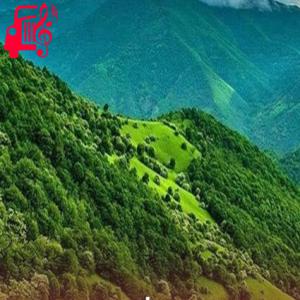 دانلود آهنگ آهنگ نازی همدم من افغانی از موزیک کار