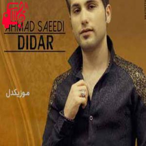 کاور آهنگ نبینم اون روزو که تو دوسم نداشته باشی از احمد سعیدی + متن ترانه اثر احمد سعیدی
