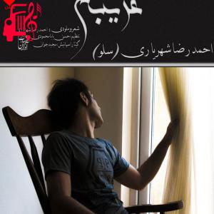 دانلود آهنگ آهنگ غریبم از احمد سلو + متن ترانه