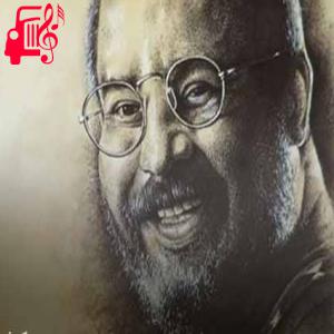 کاور آهنگ ada sahilleri از احمد کایا + متن ترانه اثر احمد کایا