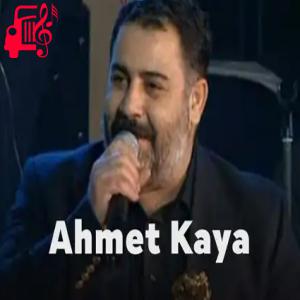 کاور آهنگ denizin ardı özgürlük از احمد کایا + متن ترانه اثر احمد کایا