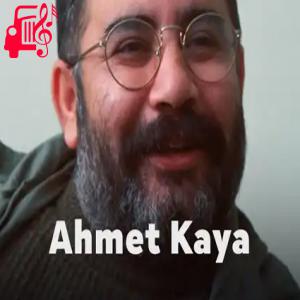 کاور آهنگ gül dikeni از احمد کایا + متن ترانه اثر احمد کایا