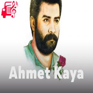 کاور آهنگ güzel günler از احمد کایا + متن ترانه اثر احمد کایا