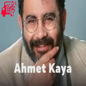 دانلود آهنگ آهنگ Hiçbirşeyimsin از احمد کایا + متن ترانه