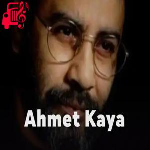 دانلود آهنگ آهنگ kod adı bahtiyar از احمد کایا + متن ترانه