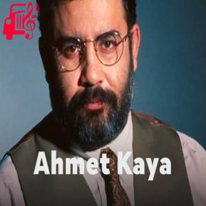 کاور آهنگ nenni bebek از احمد کایا + متن ترانه اثر احمد کایا