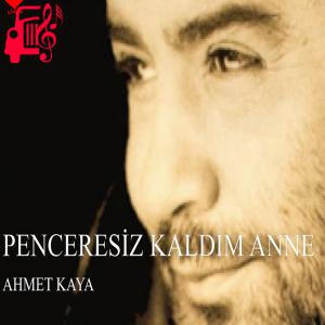 کاور آهنگ پنجره سیز کالدیم آنه از احمد کایا + متن ترانه اثر احمد کایا