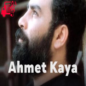 دانلود آهنگ آهنگ saza niye gelmedin از احمد کایا + متن ترانه