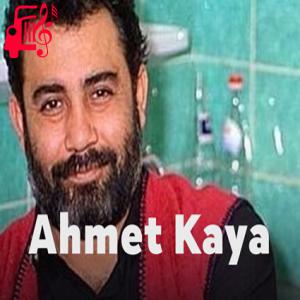 کاور آهنگ tut ki gecedir از احمد کایا + متن ترانه اثر احمد کایا