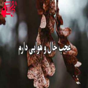 دانلود آهنگ آهنگ عجب حال و هوایی دارم از عجب حال و هوایی دارم + متن ترانه