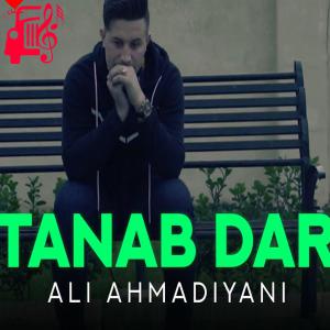 دانلود آهنگ آهنگ طناب دار از علی احمدیانی + متن ترانه
