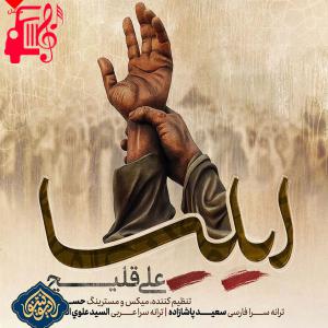 دانلود آهنگ آهنگ ایلیا از علی اکبر قلیچ + متن ترانه