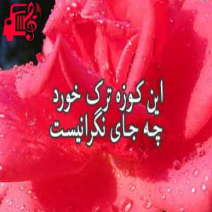 دانلود آهنگ آهنگ این کوزه ترک خورد از علی اکبر جسمانی + متن ترانه