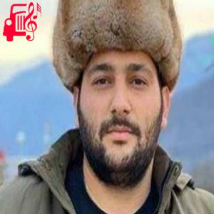 دانلود آهنگ آهنگ بهاری کوهی هوا از علی براری + متن ترانه