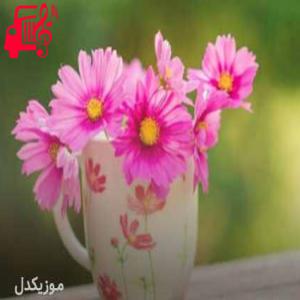 کاور آهنگ مره لوچان نزن از علی مقدم + متن ترانه اثر علی مقدم