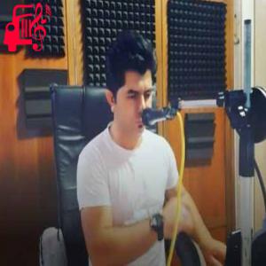 دانلود آهنگ آهنگ پدر یه باغبون مهربونه از علی رزاقی + متن ترانه