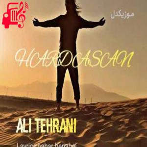 کاور آهنگ هارداسان از علی تهرانی اثر علی تهرانی