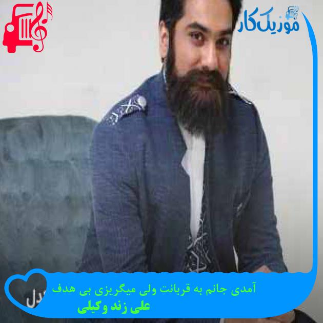 آهنگ آمدی جانم به قربانت ولی میگریزی بی هدف از علی زند وکیلی + متن ترانه