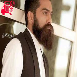 دانلود آهنگ آهنگ مرغ شب از علی زند وکیلی