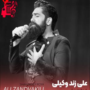دانلود آهنگ آهنگ شهزاده رویا از علی زند وکیلی + متن ترانه