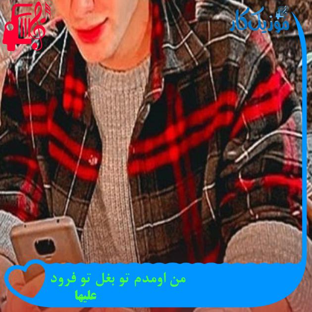 آهنگ من اومدم تو بغل تو فرود از علیها
