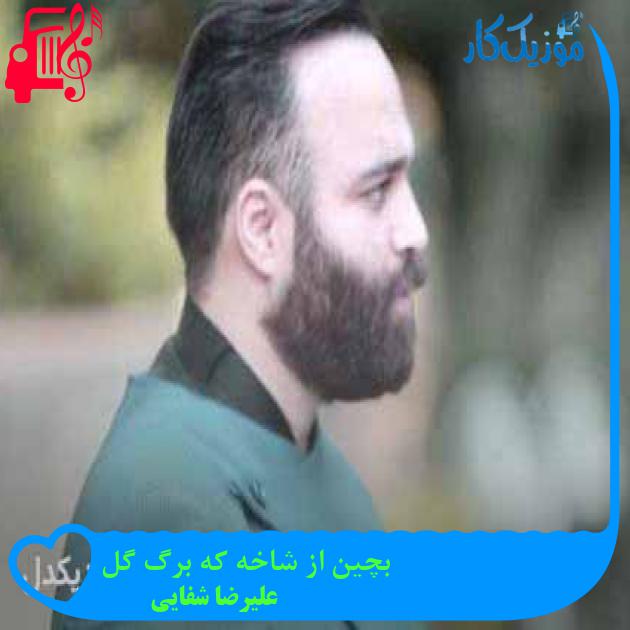 آهنگ بچین از شاخه که برگ گل از علیرضا شفایی آهنگ بچین از شاخه که برگ گل از علیرضا شفایی