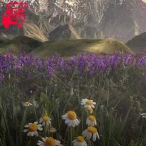 دانلود آهنگ آهنگ همه جا کفر و دروغ از موزیک کار + متن ترانه
