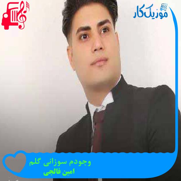 آهنگ وجودم سوزانی گلم از امین فالجی + متن ترانه آهنگ وجودم سوزانی گلم از امین فالجی + متن ترانه
