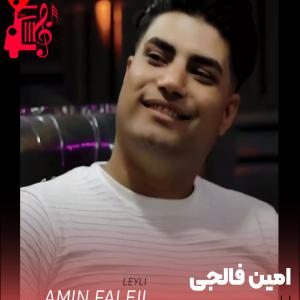 دانلود آهنگ آهنگ لیلی از امین فالجی + متن ترانه