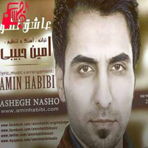 دانلود آهنگ آهنگ عاشق نشو ای دل عاشق شدن درده میسوزی میمیری از امین حبیبی + متن ترانه