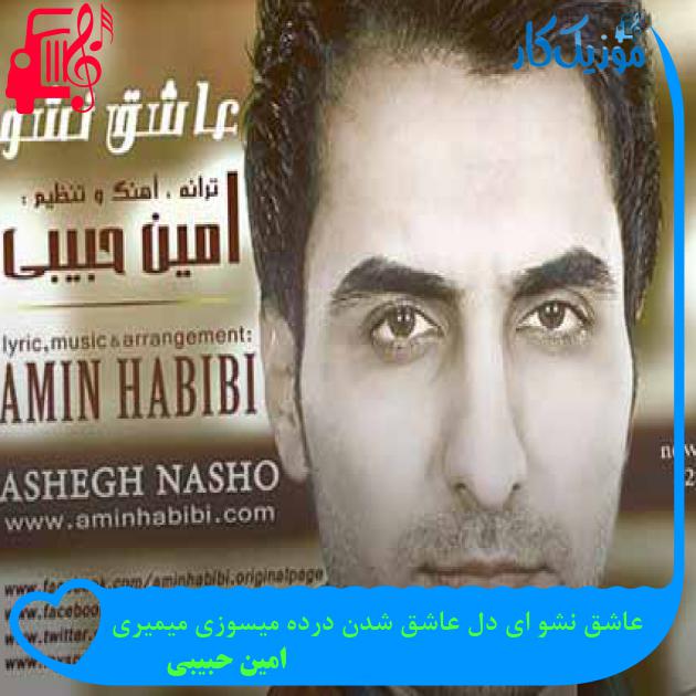 آهنگ عاشق نشو ای دل عاشق شدن درده میسوزی میمیری از امین حبیبی + متن ترانه