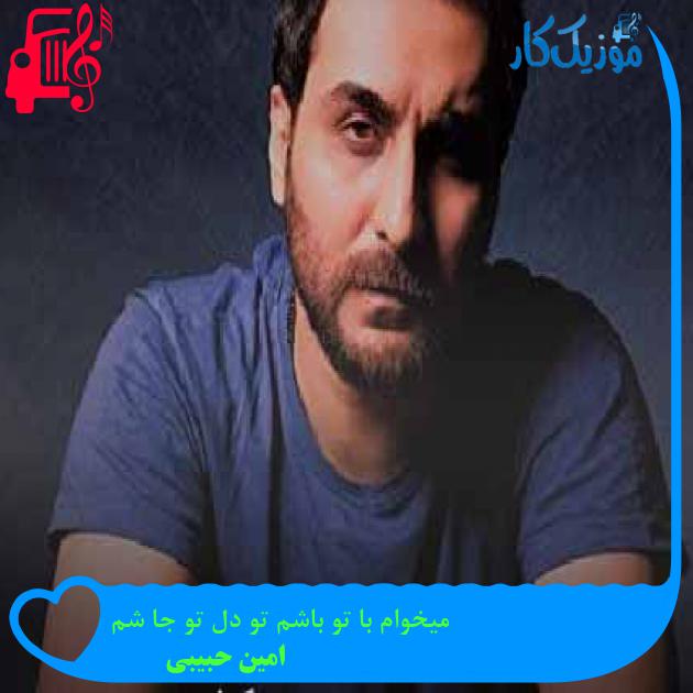 آهنگ میخوام با تو باشم تو دل تو جا شم از امین حبیبی + متن ترانه