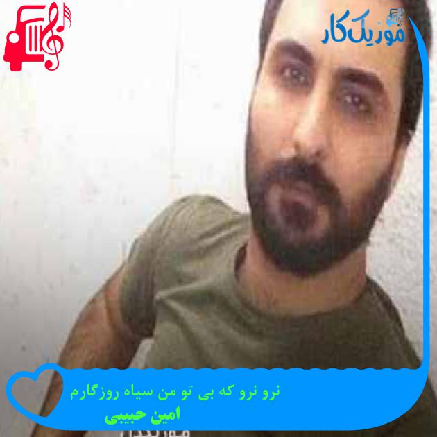 آهنگ نرو نرو که بی تو من سیاه روزگارم از امین حبیبی + متن ترانه آهنگ نرو نرو که بی تو من سیاه روزگارم از امین حبیبی + متن ترانه