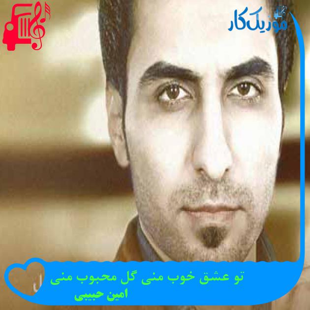 آهنگ تو عشق خوب منی گل محبوب منی از امین حبیبی + متن ترانه