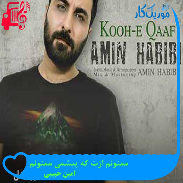 آهنگ ممنونم ازت که پیشمی ممنونم از امین حبیبی + متن ترانه آهنگ ممنونم ازت که پیشمی ممنونم از امین حبیبی + متن ترانه