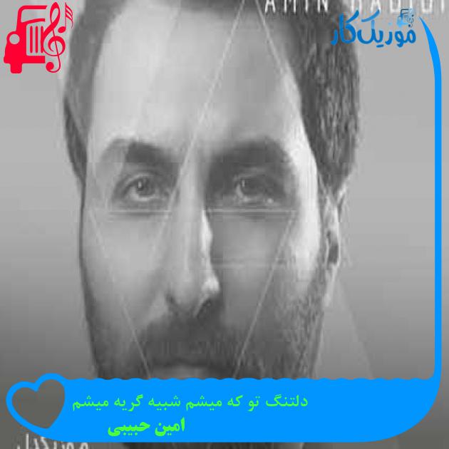 آهنگ دلتنگ تو که میشم شبیه گریه میشم از امین حبیبی + متن ترانه آهنگ دلتنگ تو که میشم شبیه گریه میشم از امین حبیبی + متن ترانه
