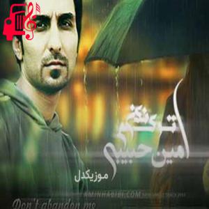 دانلود آهنگ آهنگ تورو خدا تنهام نذار تورو خدا ترکم نکن از امین حبیبی + متن ترانه