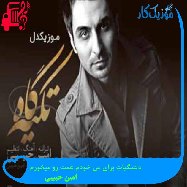 آهنگ دلتنگیات برای من خودم غمت رو میخورم از امین حبیبی + متن ترانه
