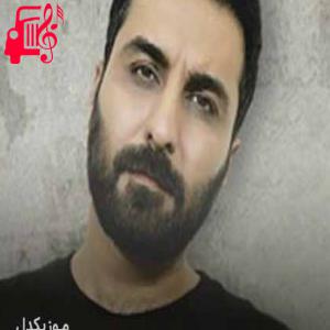 دانلود آهنگ آهنگ تو یکی یه دونه ای گل سرخ خونه ای از امین حبیبی + متن ترانه