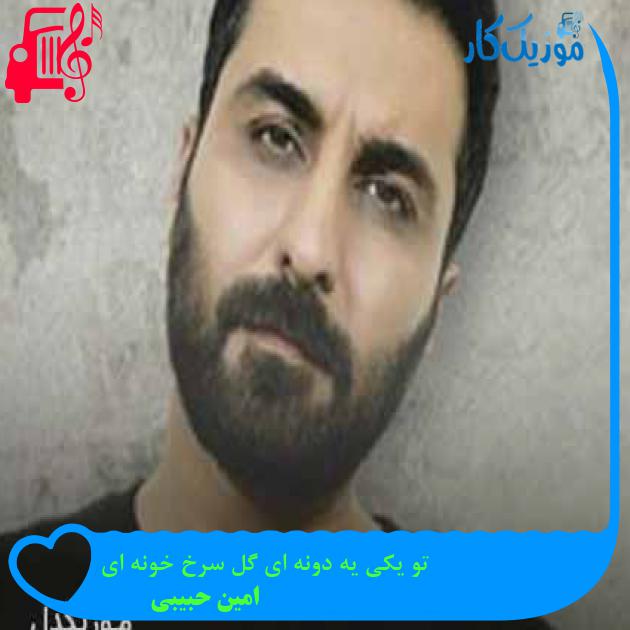 آهنگ تو یکی یه دونه ای گل سرخ خونه ای از امین حبیبی + متن ترانه آهنگ تو یکی یه دونه ای گل سرخ خونه ای از امین حبیبی + متن ترانه