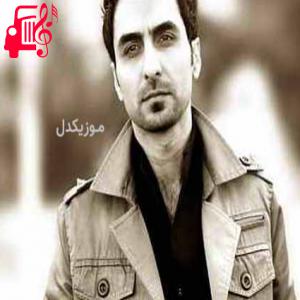 کاور آهنگ حیوونی خسته دلم تو راه برگشتن بود از امین حبیبی + متن ترانه اثر امین حبیبی