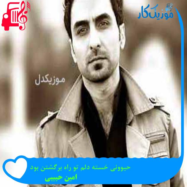 آهنگ حیوونی خسته دلم تو راه برگشتن بود از امین حبیبی + متن ترانه آهنگ حیوونی خسته دلم تو راه برگشتن بود از امین حبیبی + متن ترانه