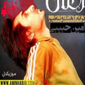 دانلود آهنگ آهنگ زخمی از امین حبیبی + متن ترانه