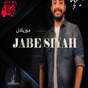 دانلود آهنگ آهنگ تو خوشگلی دیگه حد نداری از امین پاشا + متن ترانه