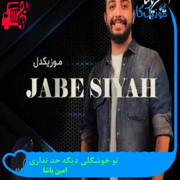 آهنگ تو خوشگلی دیگه حد نداری از امین پاشا + متن ترانه آهنگ تو خوشگلی دیگه حد نداری از امین پاشا + متن ترانه