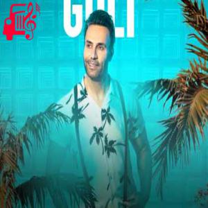 دانلود آهنگ آهنگ ناز دونه جونم ناز داری چقدر از امین شکرشکن + متن ترانه
