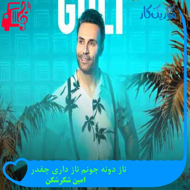 آهنگ ناز دونه جونم ناز داری چقدر از امین شکرشکن + متن ترانه