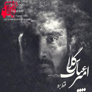 دانلود آهنگ آهنگ فقط برو از امیر عباس گلاب + متن ترانه